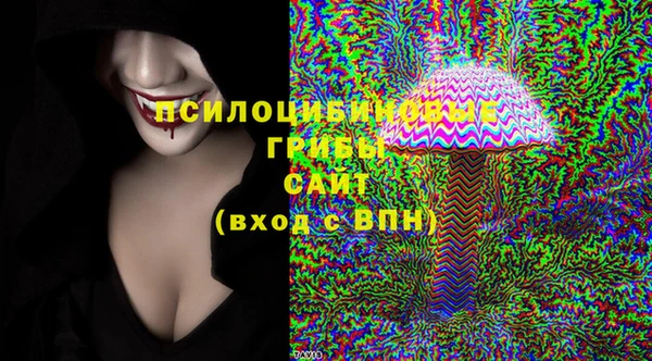 мдпв Балабаново