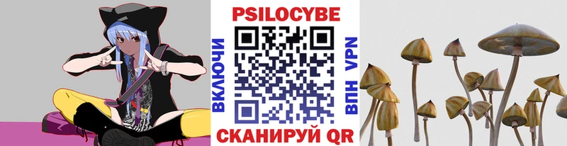 Псилоцибиновые грибы GOLDEN TEACHER  Красково 